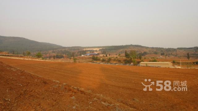 A^(q)F(tun)Y(ji)l(xing)1980ƽmϽ(jng)I(yng)r(nng)ҘB(yng)ֳNֲ(3)