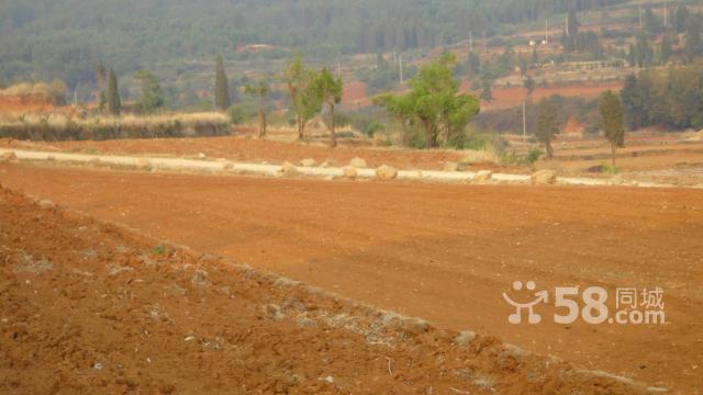 A^(q)F(tun)Y(ji)l(xing)1980ƽmϽ(jng)I(yng)r(nng)ҘB(yng)ֳNֲ(4)