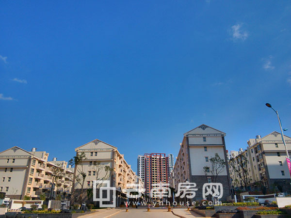 項目實景 項目實景