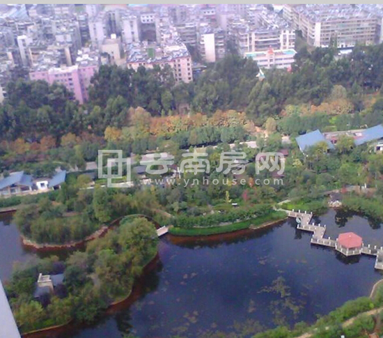 項目俯瞰效果圖 項目俯瞰效果圖