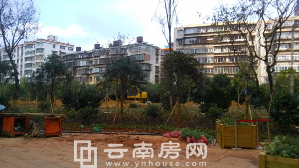 霖嵐國際廣場正在綠化 霖嵐國際廣場正在綠化