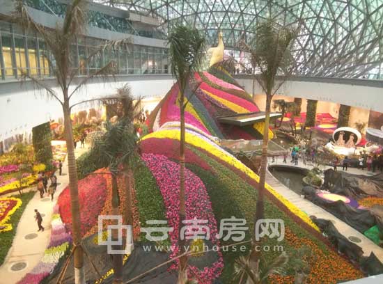 七彩云南花之城花卉種質資源圃 七彩云南花之城花卉種質資源圃