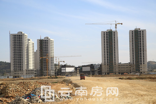 騰俊國際陸港在建的公寓和商鋪 騰俊國際陸港在建的公寓和商鋪