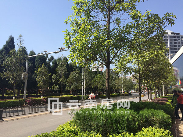 周邊道路 周邊道路