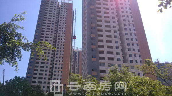 錦悅四季施工進度 錦悅四季施工進度