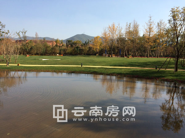 長水航城實景 長水航城實景