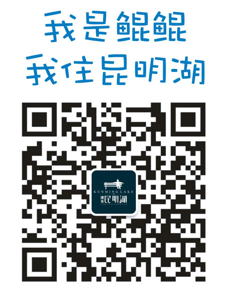 萌寵“鯤鯤”身上的二維碼 萌寵“鯤鯤”身上的二維碼