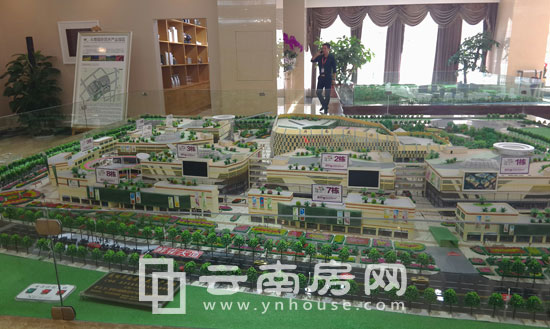 斗南花花世界沙盤圖 斗南花花世界沙盤圖