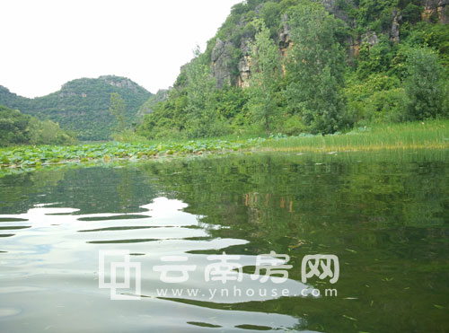 普者黑風景 普者黑風景