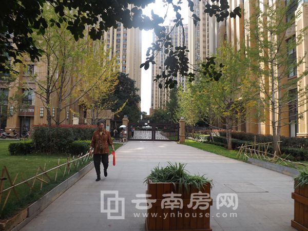 金領時代實景圖 金領時代實景圖