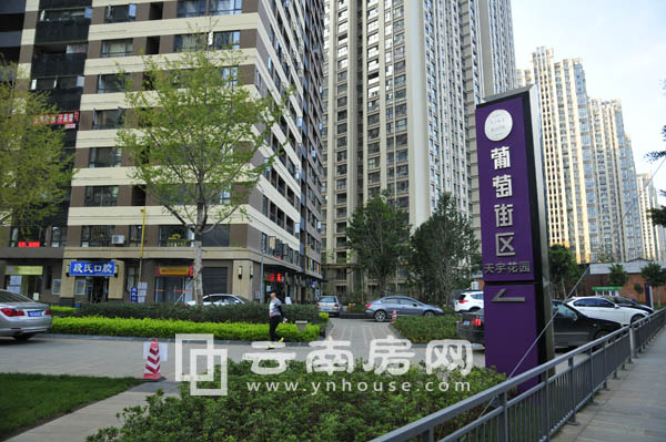 葡萄街區住宅實景圖 葡萄街區住宅實景圖