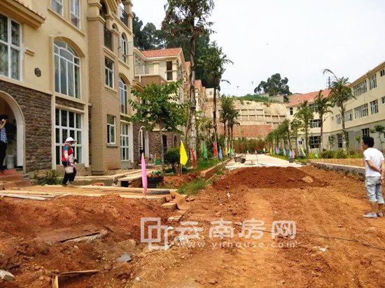 西尚林居學府公館一期正在做綠化 西尚林居學府公館一期正在做綠化