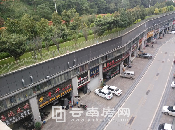 車行天下國際汽車城一期實(shí)景 車行天下國際汽車城一期實(shí)景