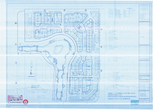 “廊橋陽光商業中心”建設項目綠化工程設計方案 “廊橋陽光商業中心”建設項目綠化工程設計方案
