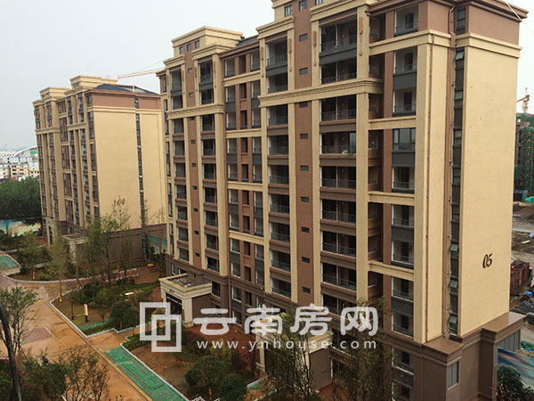 半島華府項目實景 半島華府項目實景