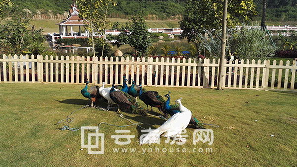 žӘpZ_PF(xin)؄eeȸ