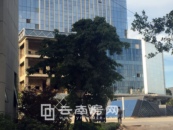 禧瑞都施工進度 禧瑞都施工進度