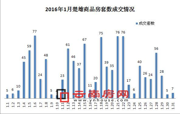 2016年1月楚雄商品房套數成交情況 2016年1月楚雄商品房套數成交情況