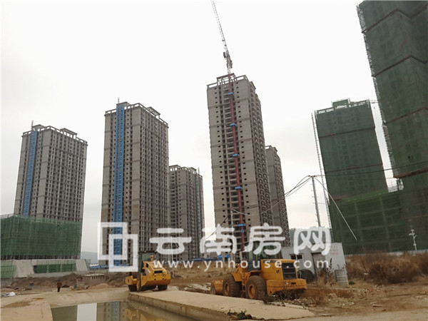 雨花國際實景圖 雨花國際實景圖