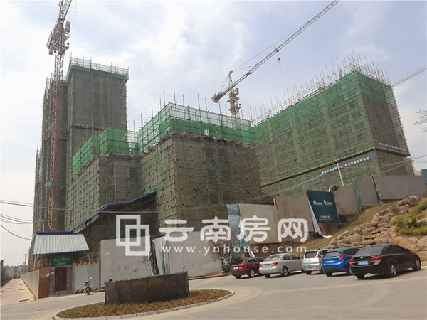 眾和康園二期實(shí)景圖 眾和康園二期實(shí)景圖