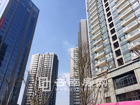 鑫世 界實景 鑫世 界實景