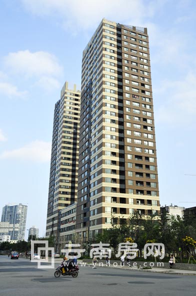 葡萄 街區實景 葡萄 街區實景