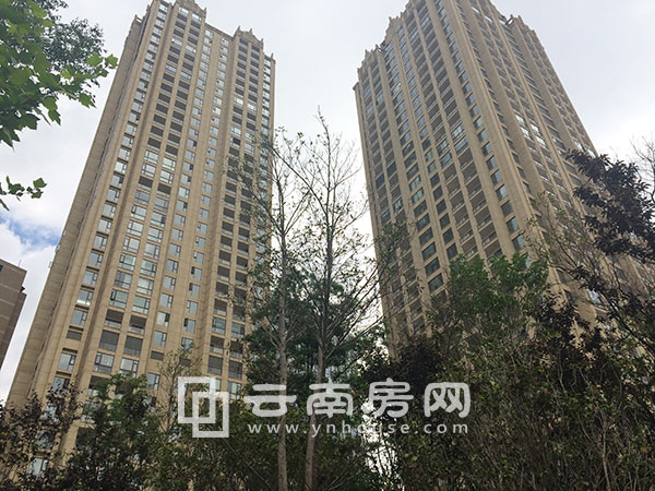 云路中 心實景 云路中 心實景