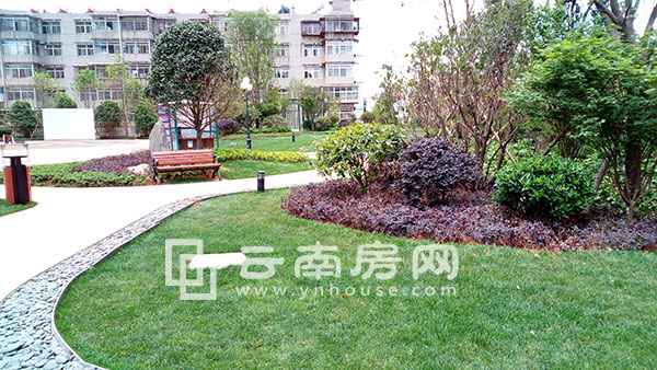 恒大 雅苑社區綠化 恒大 雅苑社區綠化