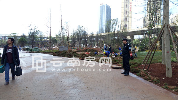 金 尚俊園社區(qū)綠化 金 尚俊園社區(qū)綠化