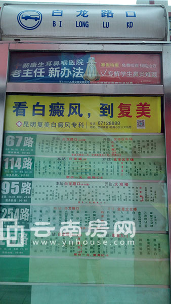 東環洲 際周邊公交站 東環洲 際周邊公交站