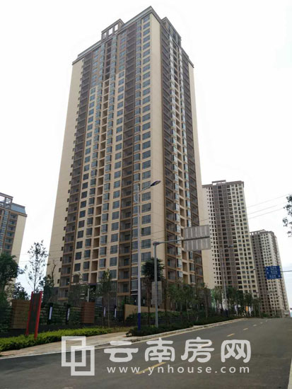 青春 誌項目實景 青春 誌項目實景