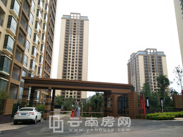 青春 誌項目實景 青春 誌項目實景