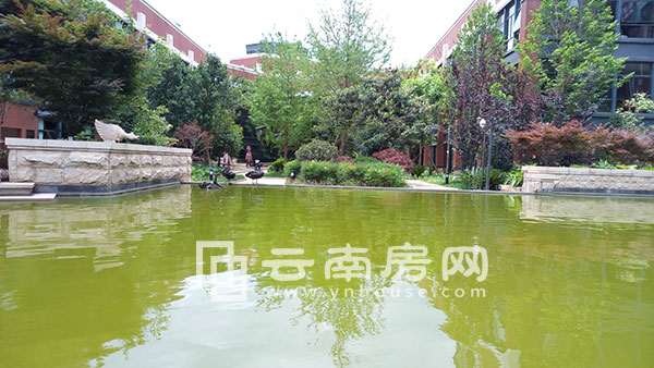 德潤 朗悅灣社區綠化 德潤 朗悅灣社區綠化