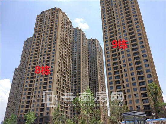 即將開盤的8棟和9棟 即將開盤的8棟和9棟