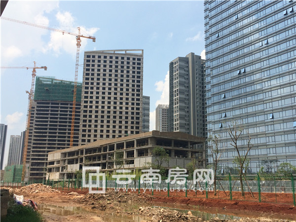 綠 地 云 都 會實景 綠 地 云 都 會實景