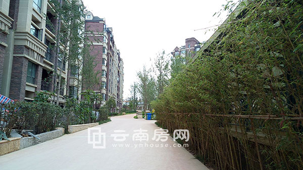 銀海 白沙郡社區(qū)實景 銀海 白沙郡社區(qū)實景