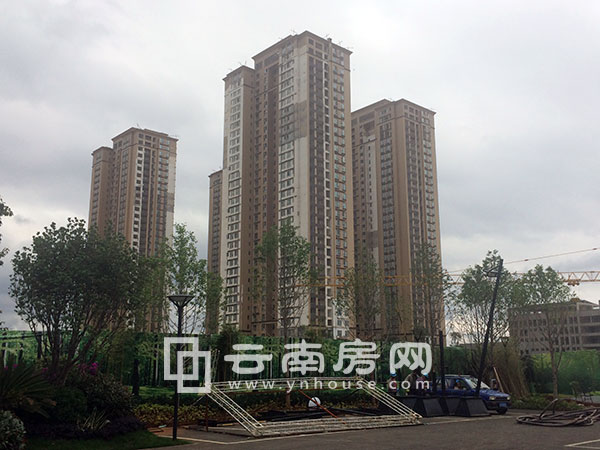 萬科公 園里實景 萬科公 園里實景