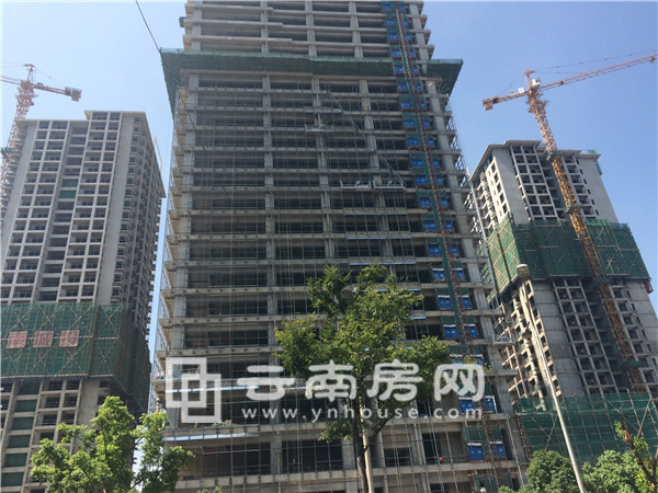 融城優 郡實景 融城優 郡實景