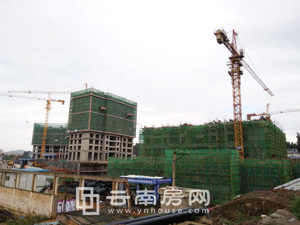 俊發 城紫薇苑施工進度 俊發 城紫薇苑施工進度