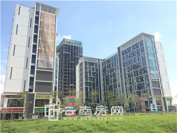 H公 寓實景 H公 寓實景