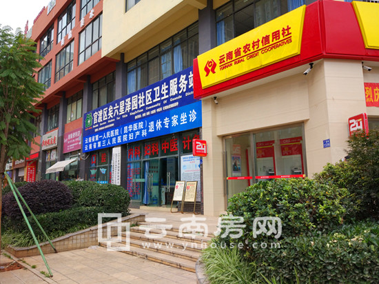 領秀星 辰園旁邊配套 領秀星 辰園旁邊配套