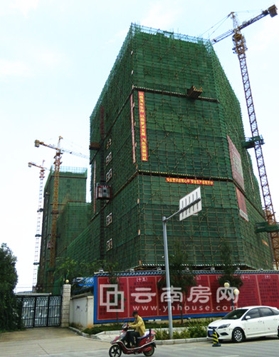 海源高 新天地實景圖 海源高 新天地實景圖