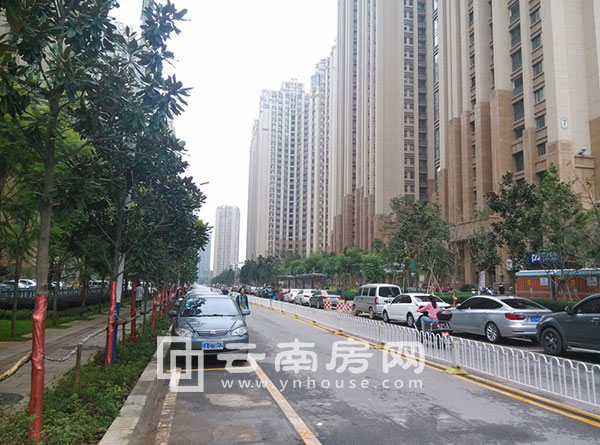 濱江俊 園周邊道路 濱江俊 園周邊道路