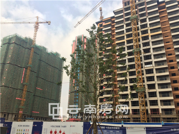 世豪 香頌時(shí)光實(shí)景 世豪 香頌時(shí)光實(shí)景