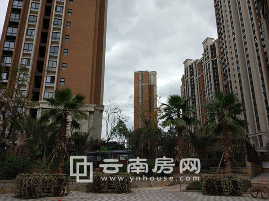 領秀星 辰園小區實景 領秀星 辰園小區實景