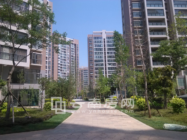 海運花 園小區(qū)實景 海運花 園小區(qū)實景