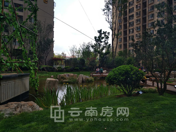 園城小區內部 園城小區內部