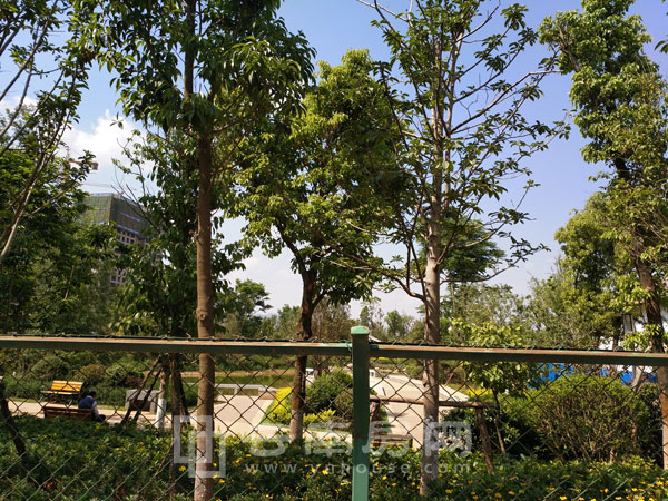 聞一多主題公園 聞一多主題公園