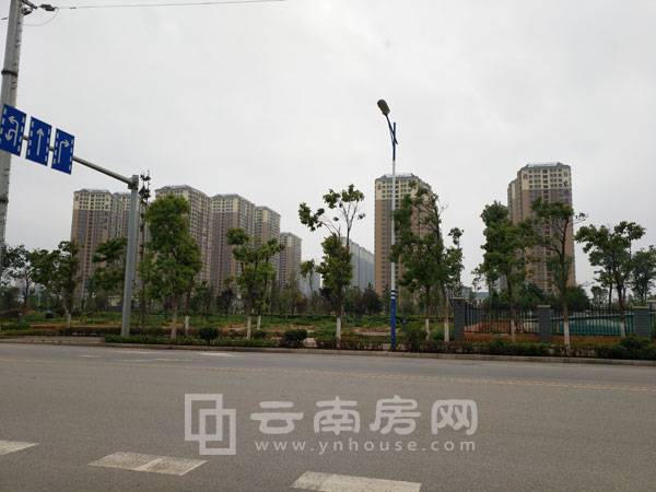 東旭駿城實景圖 東旭駿城實景圖