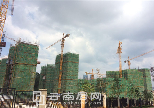 項目工程進 項目工程進